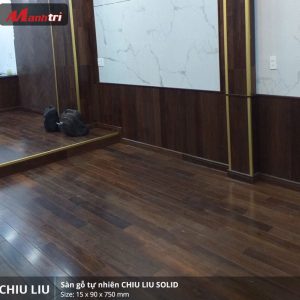 chịu liu 750 1