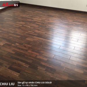 chiu liu 750