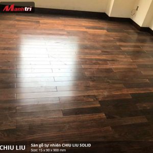 chiu liu 900 2