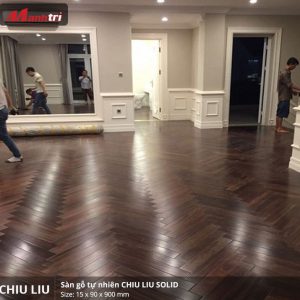 chiu liu 900