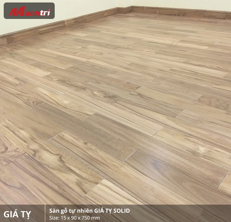 gia-ty-750 giá tỵ 750 1