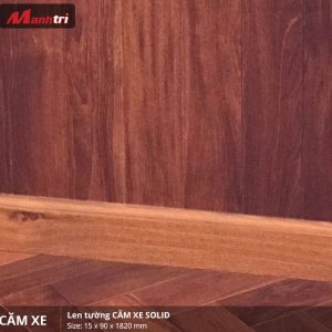 len tường căm xe solid 2