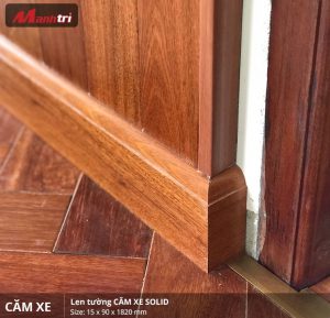 len tường căm xe solid