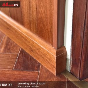 len tường căm xe solid