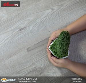 Sàn gỗ Robina O125
