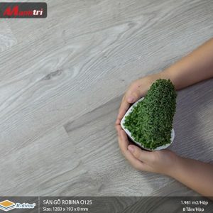 Sàn gỗ Robina O125