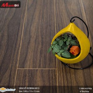 Sàn gỗ Robina W15