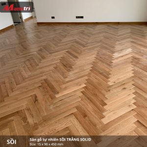 sồi trắng 450 1