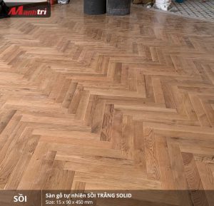 Sồi trắng 450