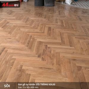 Sồi trắng 450