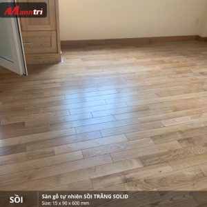 sồi trắng 600 1