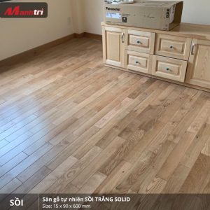 sồi trắng 600