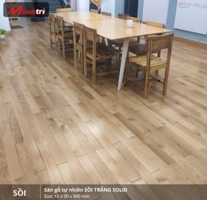 sồi trắng 900