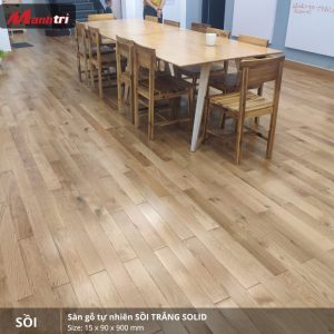 sồi trắng 900