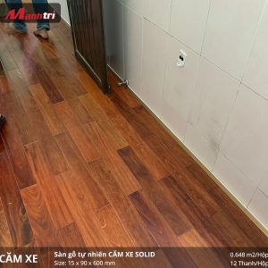 thi-cong-cam-xe-600-3