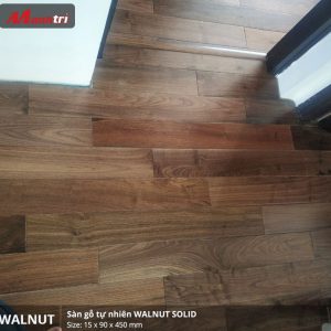 walnut 450-1