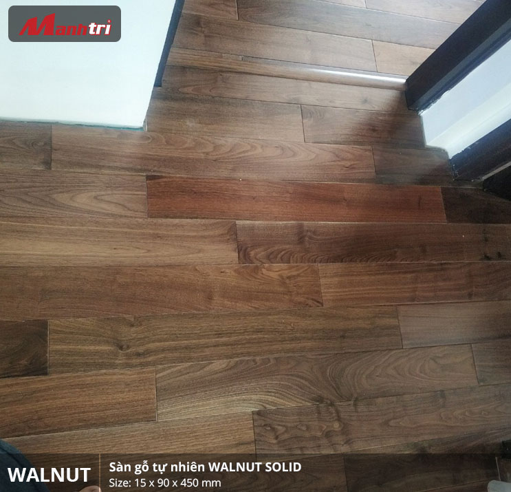 walnut-450-1 walnut 450-1
