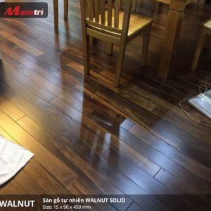 walnut 450 2