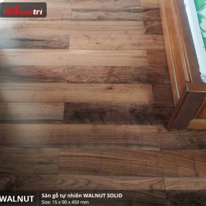 walnut 450 3