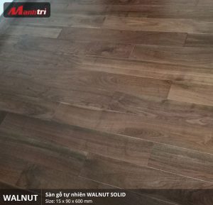 walnut 600