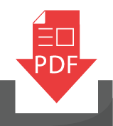 Icon PDF