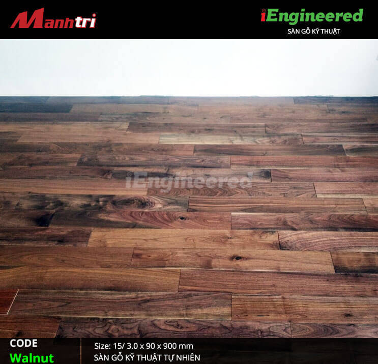 thi công iengineer walnut b