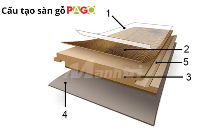 Cấu tạo sàn gỗ Pago