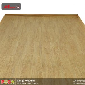 pago-b01-2