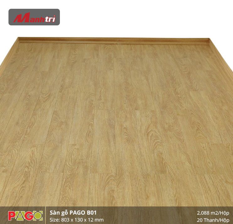 pago-b01-2 pago-b01-2