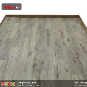 pago-b03-2