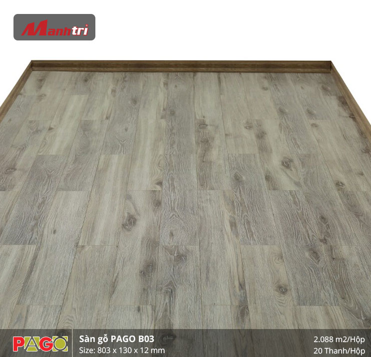 pago-b03-2 pago-b03-2