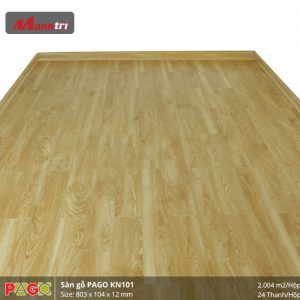 pago-kn-101-2