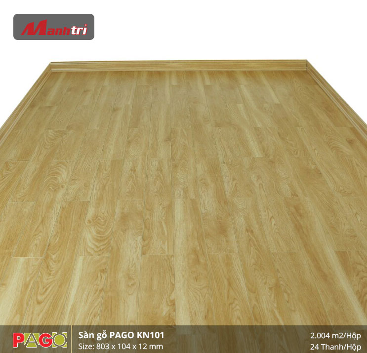 pago-kn-101-2 pago-kn-101-2