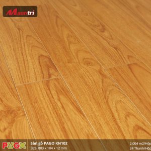 pago-kn-102-2