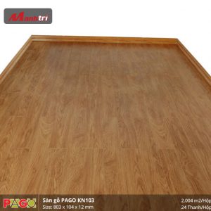 pago-kn-103-2