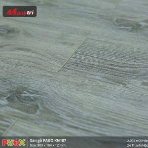 pago-kn-107-1