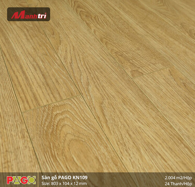 pago-kn-109-1 pago-kn-109-1