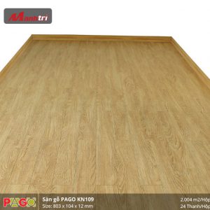 pago-kn-109-2