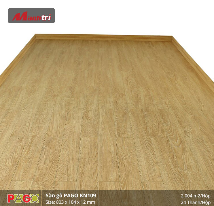 pago-kn-109-2 pago-kn-109-2