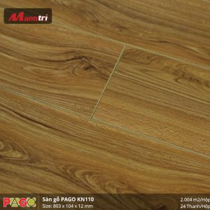 pago-kn-110-1