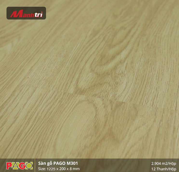 pago-m301-1-1