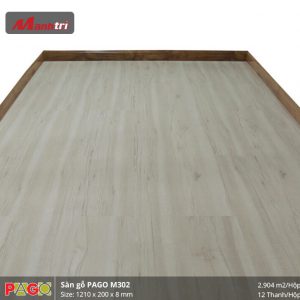 pago-m302-2