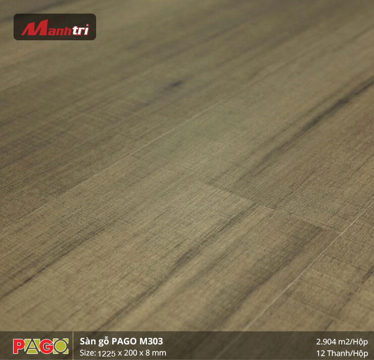 pago-m303-1