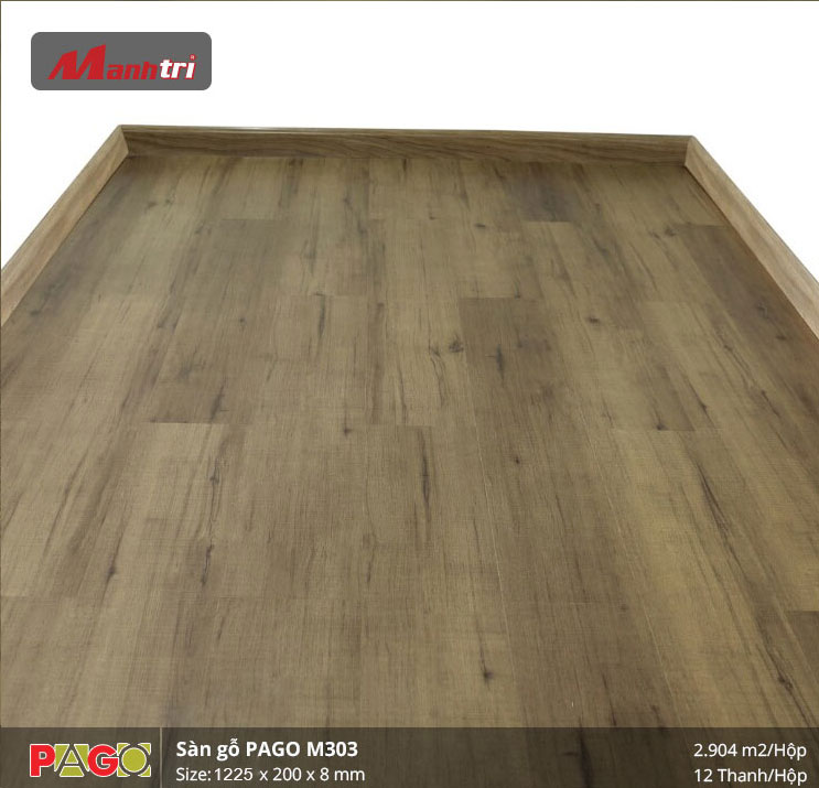 pago-m303-2
