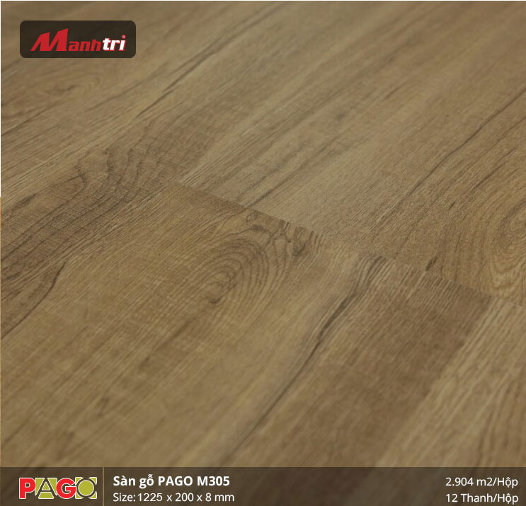 pago-m305-1