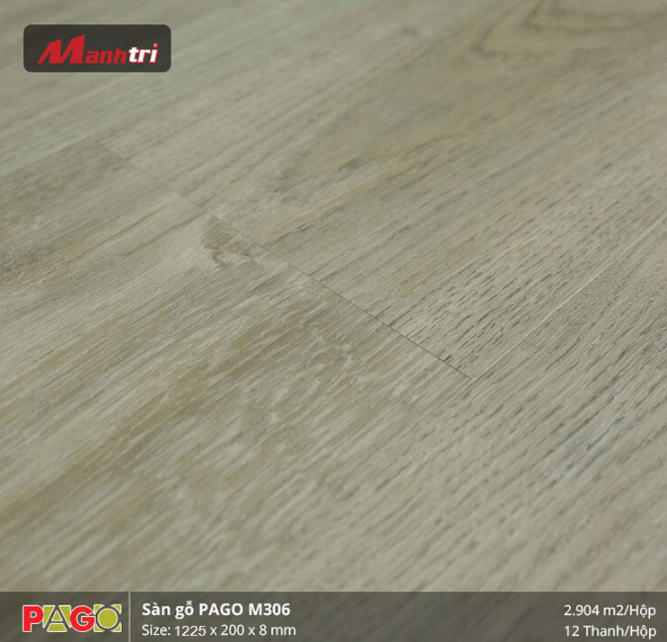pago-m306-1