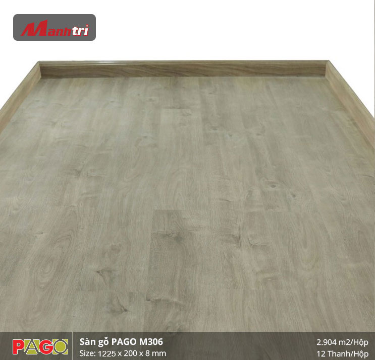 pago-m306-2