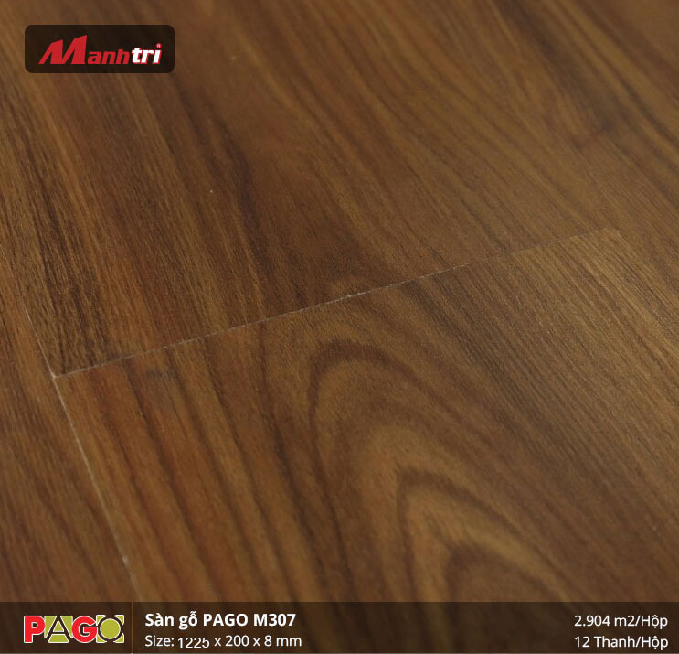pago-m307-1
