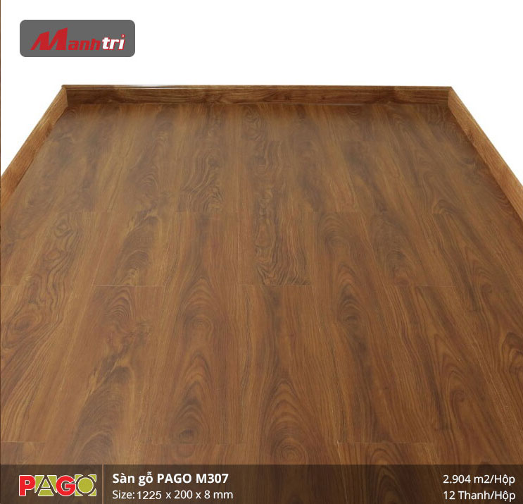 pago-m307-2