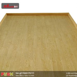 pago-pg-111-1